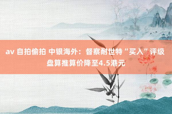 av 自拍偷拍 中银海外：督察耐世特“买入”评级 盘算推算价降至4.5港元