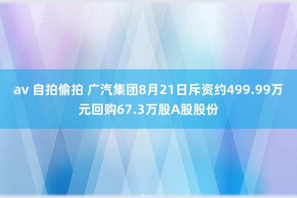 av 自拍偷拍 广汽集团8月21日斥资约499.99万元回购67.3万股A股股份