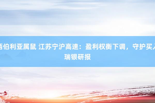 西伯利亚属鼠 江苏宁沪高速：盈利权衡下调，守护买入
    瑞银研报