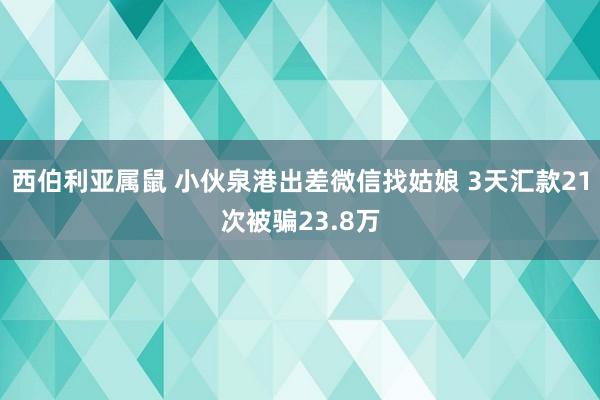 西伯利亚属鼠 小伙泉港出差微信找姑娘 3天汇款21次被骗23.8万