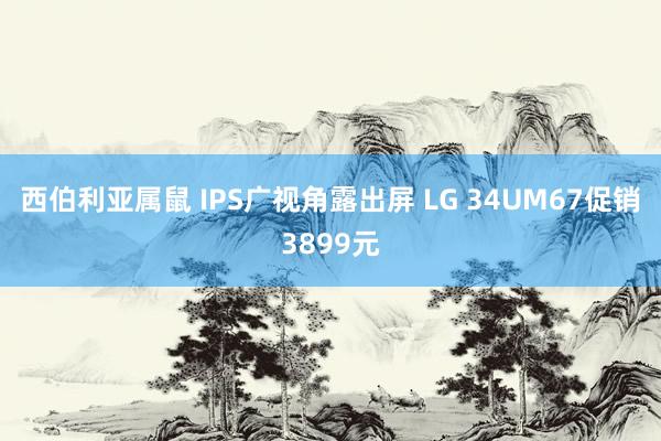 西伯利亚属鼠 IPS广视角露出屏 LG 34UM67促销3899元